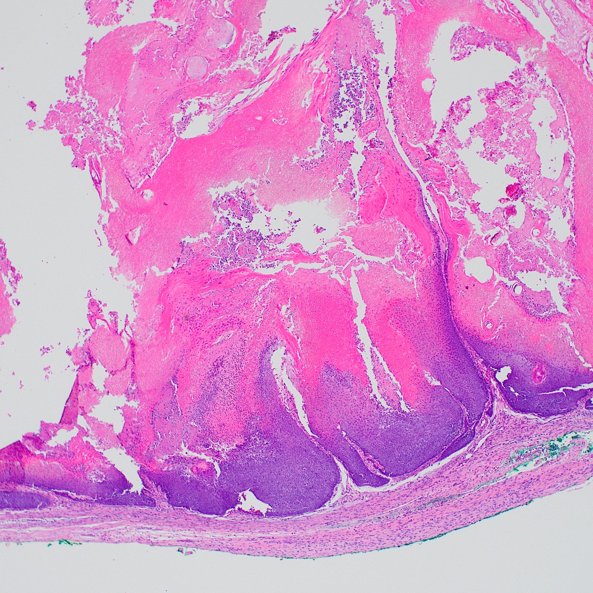 Shyam Raghavan tweet media