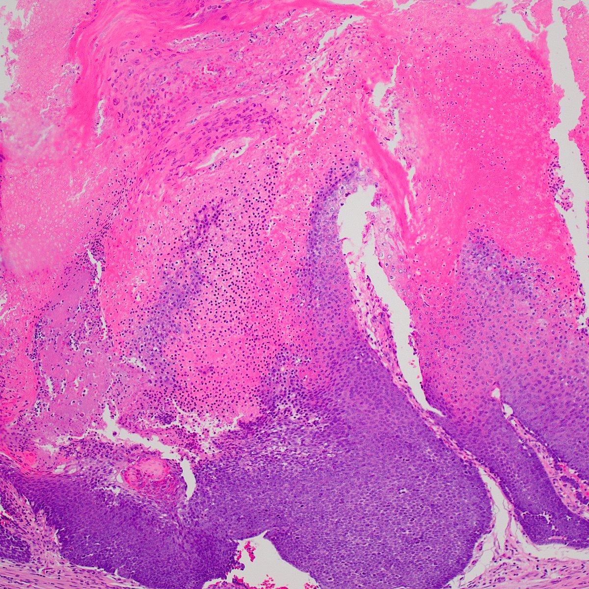 Shyam Raghavan tweet media