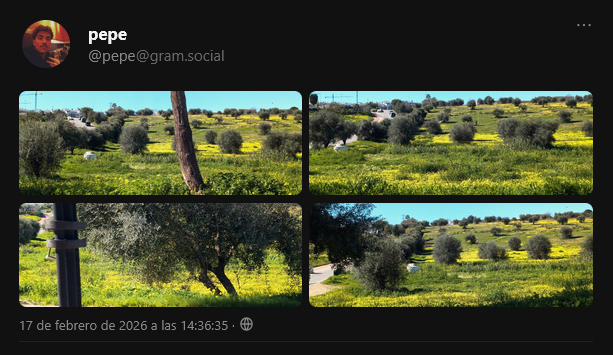 pepepepepec's tweet photo. a veces solo quiero ir a un sitio, hacer fotos y postearlas en una red social descentralizada para que la vean las 5 personas que la usan 😃 https://t.co/XMJZUboN2z