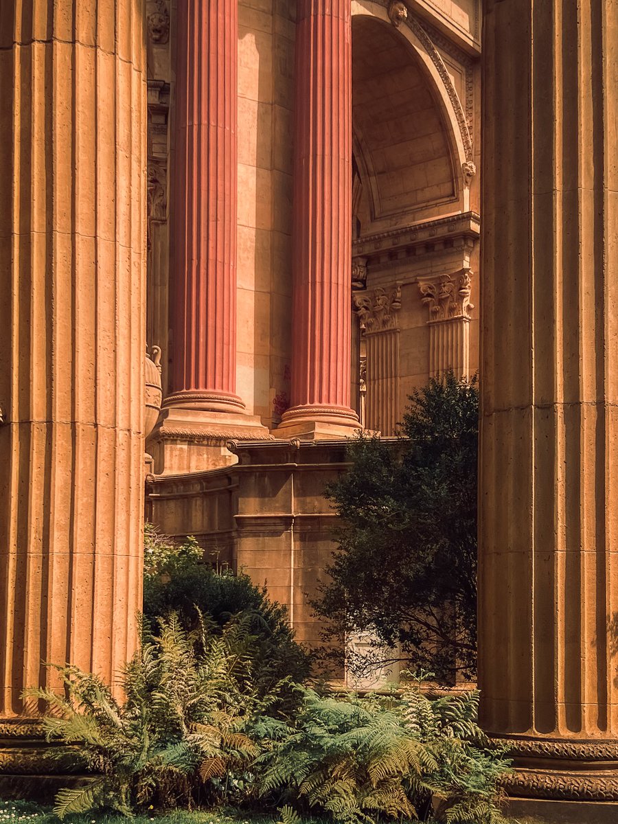rjgalido's tweet photo. The Palace of Fine Arts got me feeling like I’m in Italy 🇮🇹Guess there is some old-world culture on this side of America after all

#PalaceOfFineArts #SanFrancisco #SFViews #SanFranciscoLife #CaliforniaDreaming
#TravelCalifornia #VisitSF #BayAreaViews #ArchitectureLovers https://t.co/FzcOjjKr3W