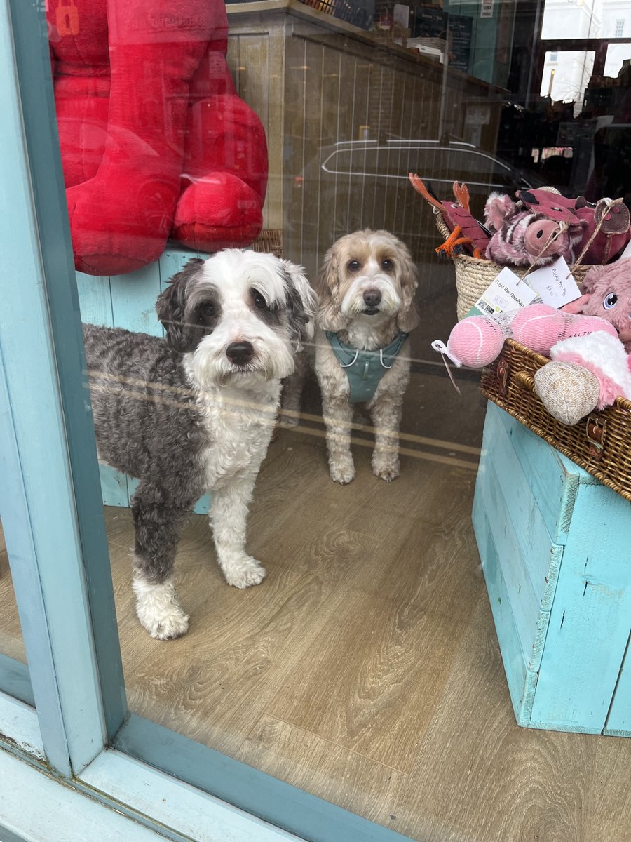 missybellarose's tweet image. Here i am ❤️