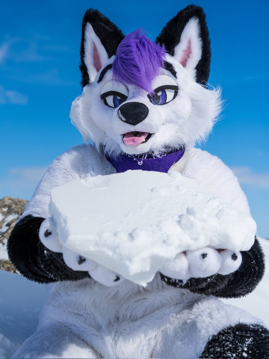 Lavyyyy 🔜 AO tweet media