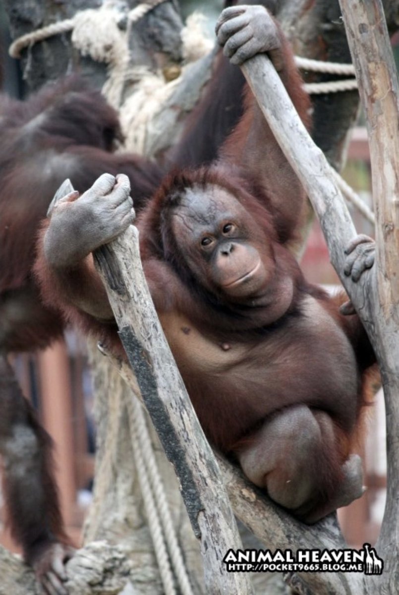 going to bed before 12am