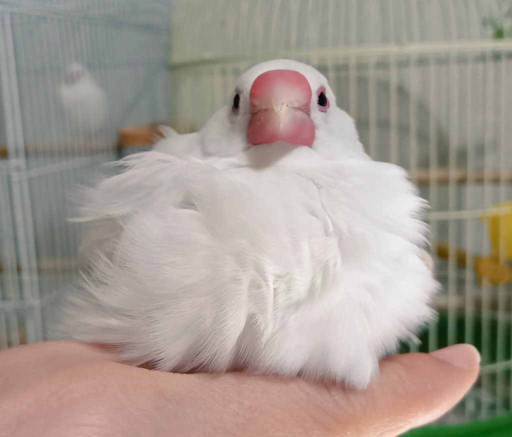 How it feels when I don't know what to Draw.