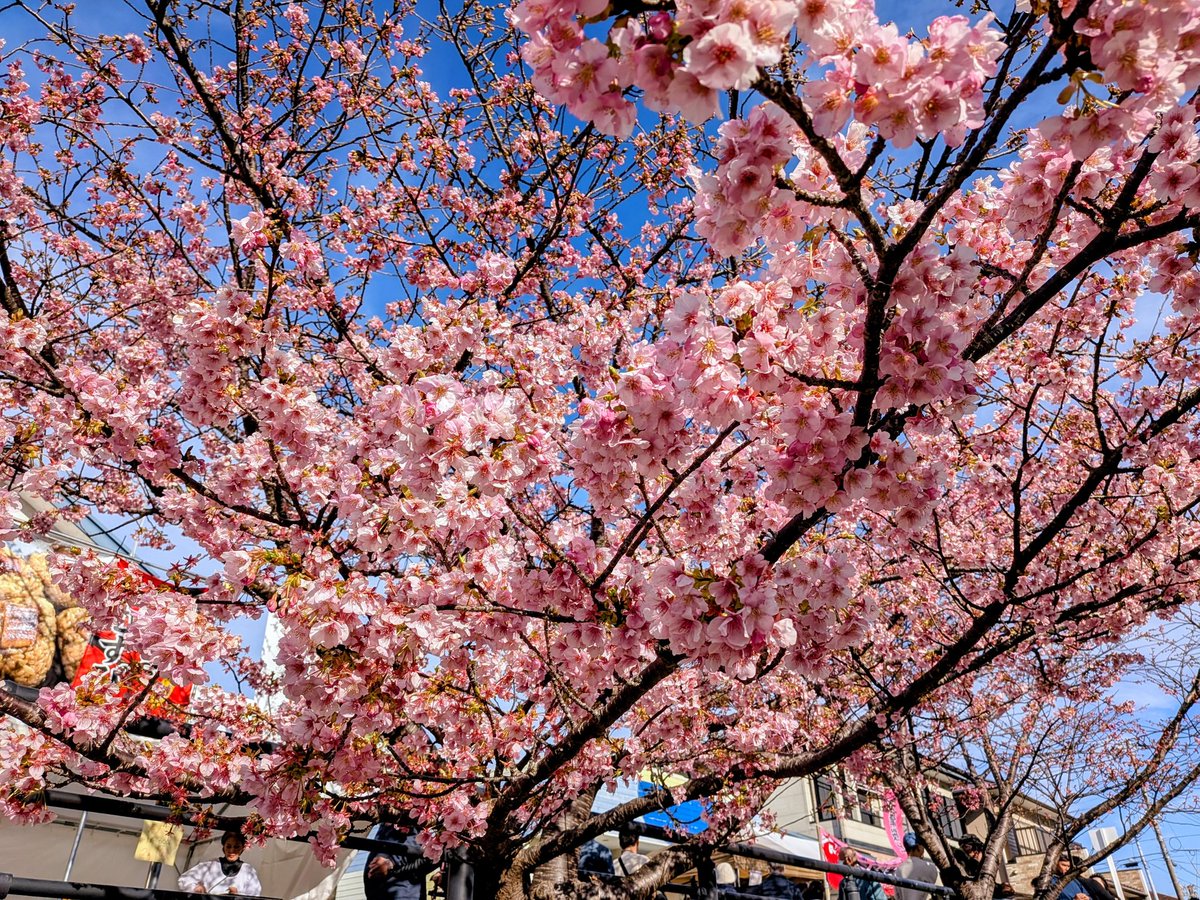 ☁️齊天大聖☁️@GSX1300R (@59Freshen) / Posts / X