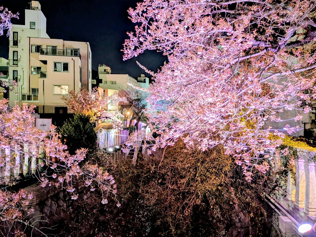 ☁️齊天大聖☁️@GSX1300R (@59Freshen) / Posts / X