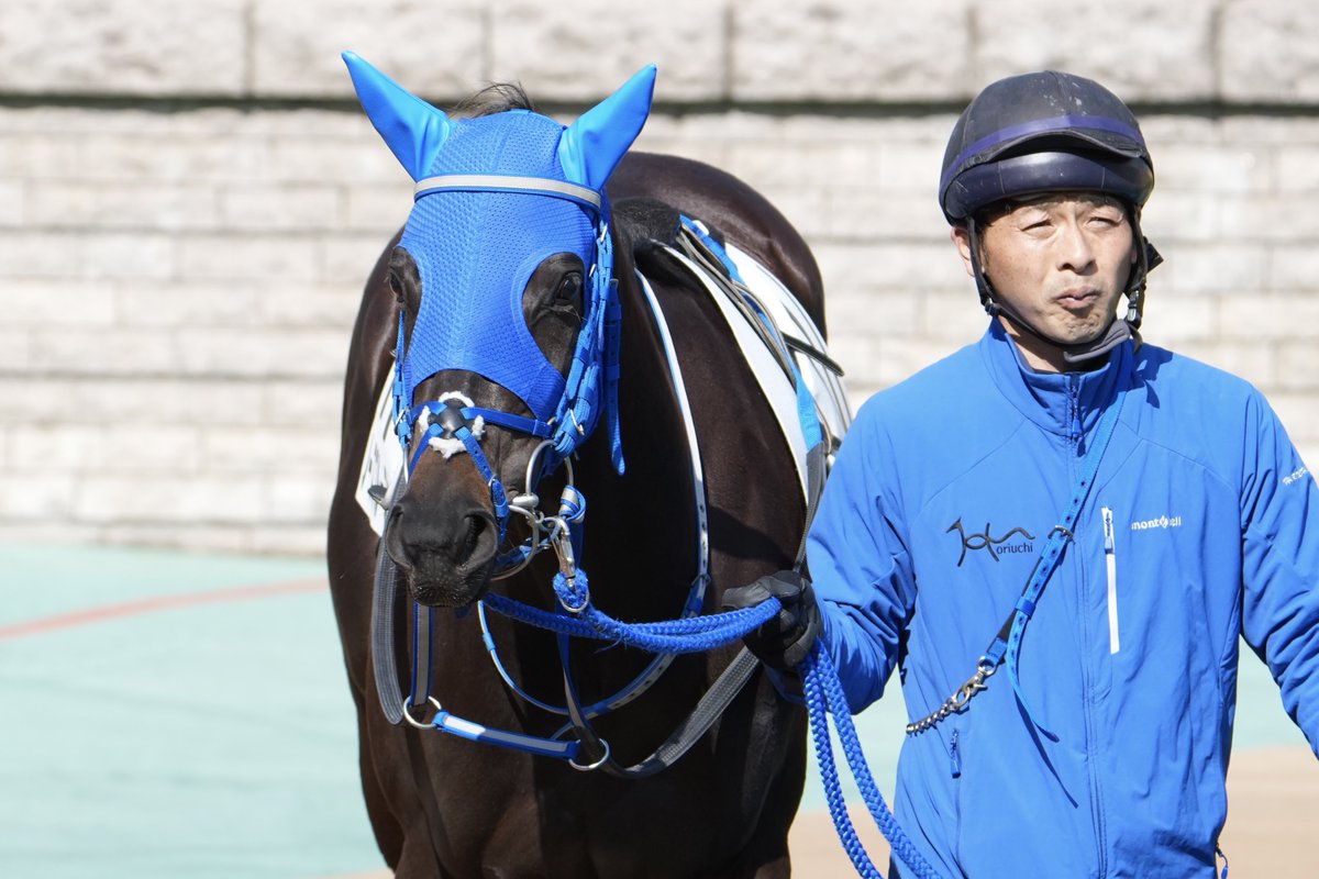 2026/02/14 東京4R 3歳新馬戦 ノースブルースカイ & 松岡正海J (ダノン