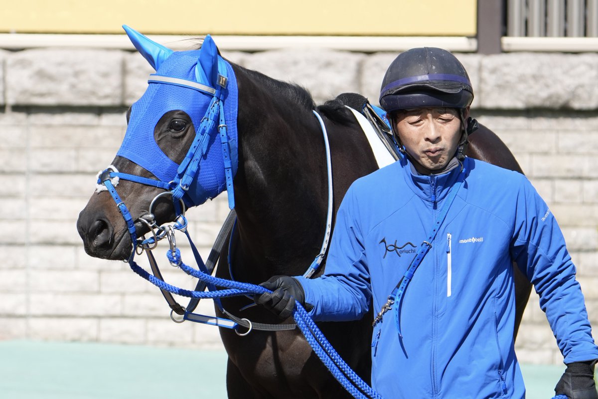 2026/02/14 東京4R 3歳新馬戦 ノースブルースカイ & 松岡正海J (ダノン