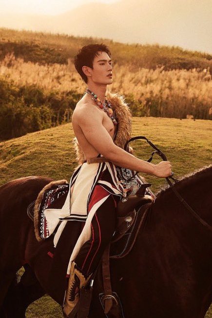 เมะออกหวานเคะออกรบ นึกออกปะพล็อตแบบฝ่ายบุ๋นฝ่ายบู๊ ต้าชิงกับชนเผ่านอกด่าน ตระกูลฮวาชวี่ตูกับตระกูลเซียวหลีเป่ย บัณฑิตจงปั๋วหกโจวกับทหารม้าเปียนซา12เผ่า เซียวจี้หมิงกับฮาเซิน จิ้นเยวี่ยกับเฮ่อหลันเฟิง