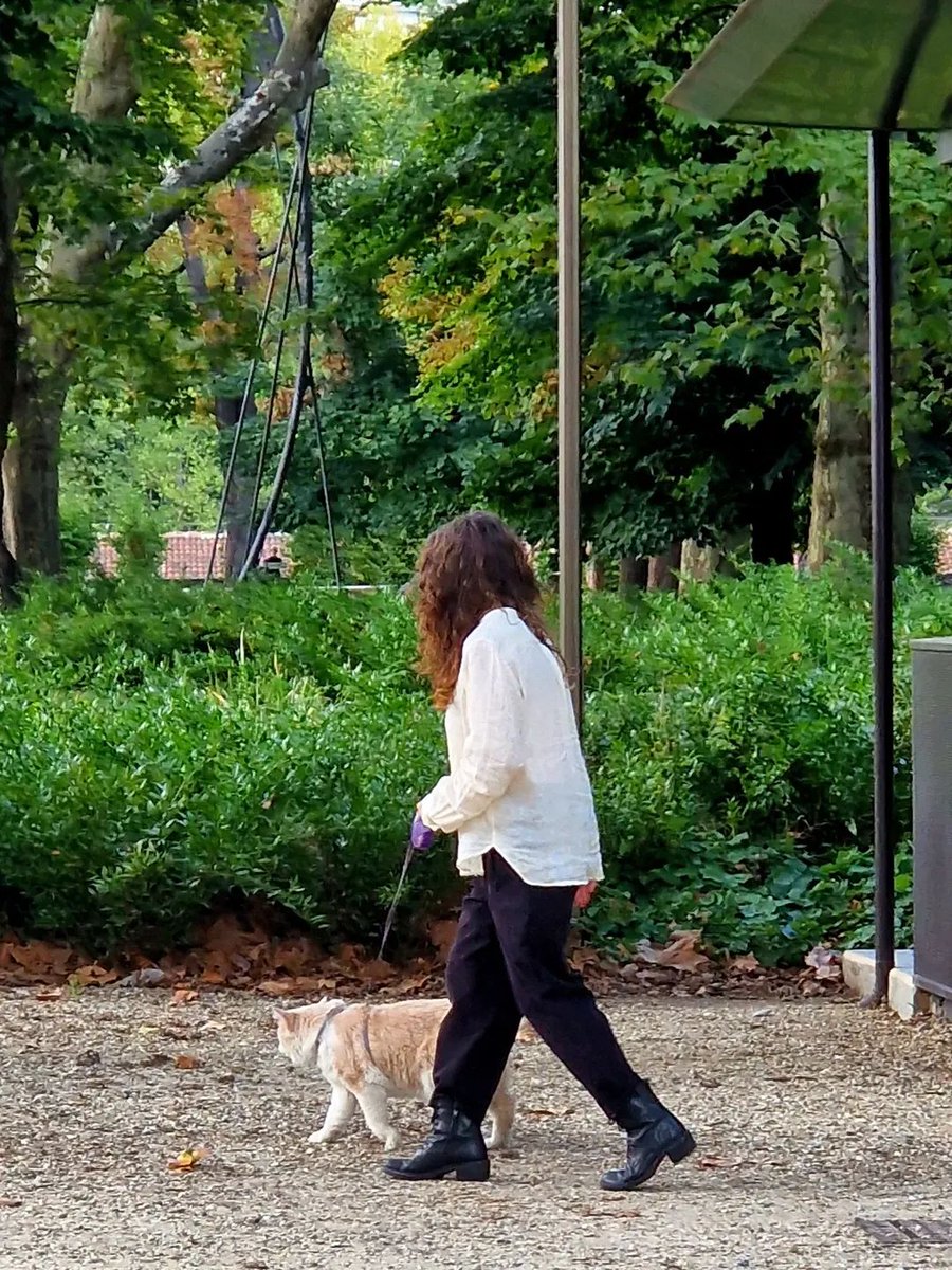 Musei Reali Torino tweet media