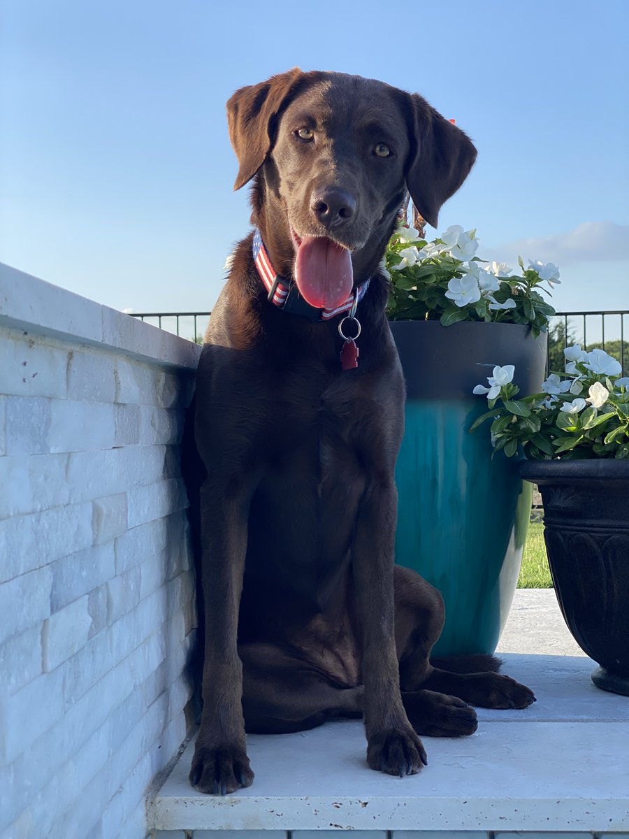 jkevinwright tweet media