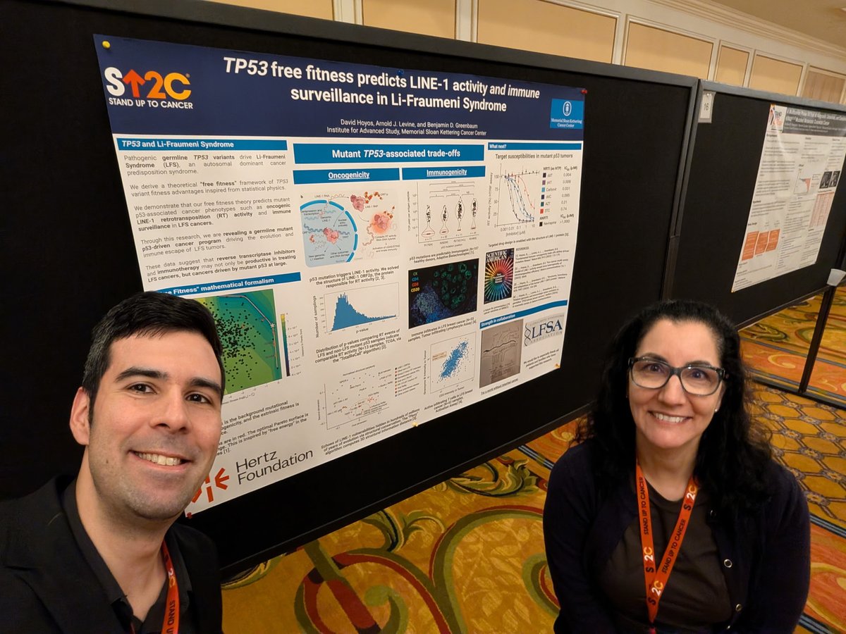 LFS Association tweet media