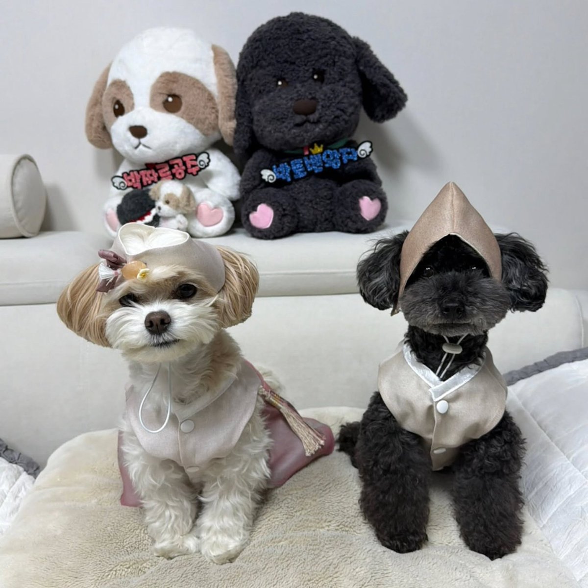 [INSTAGRAM]{260217} Actualización de la cuenta de Toben con Zzar 🤎

"Feliz año nuevo 🐶"

Cr: Tobenstagram 
Subido por Park Chanyeol 찬열 Latinoamérica 
[Fire🔥Loey] 

#CHANYEOL #찬열 #엑소찬열 #チャニョル #朴灿烈 <a href="/weareoneEXO/">EXO</a>