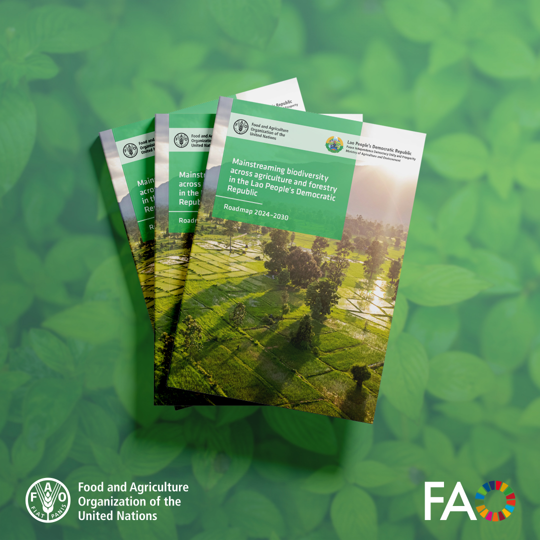 FAOclimate's tweet image. 🌱Lao PDR is charting a course for biodiverse &amp;amp; sustainable agrifood systems.
 
A new national roadmap designed with @FAO is helping protect #biodiversity and drive progress toward the #KMGBF 2030 targets through agrifood systems solutions.
 
Learn how 👉 doi.org/10.4060/cd6009…