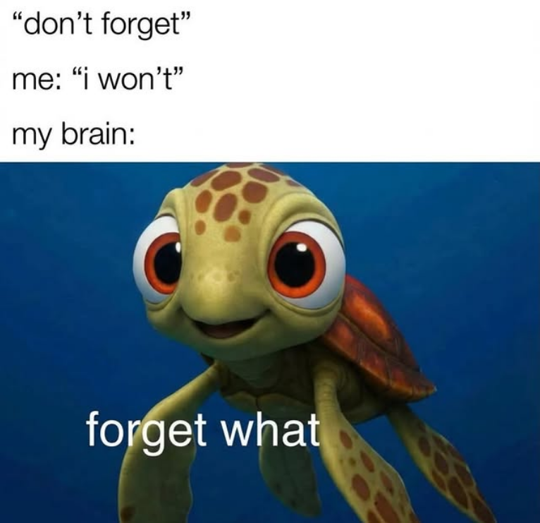 Cincinnati Meme Stream tweet media