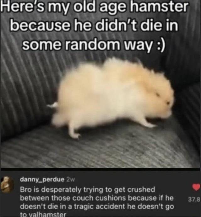 SandyofCthulhu's tweet photo. https://t.co/yGz2VGU5cp