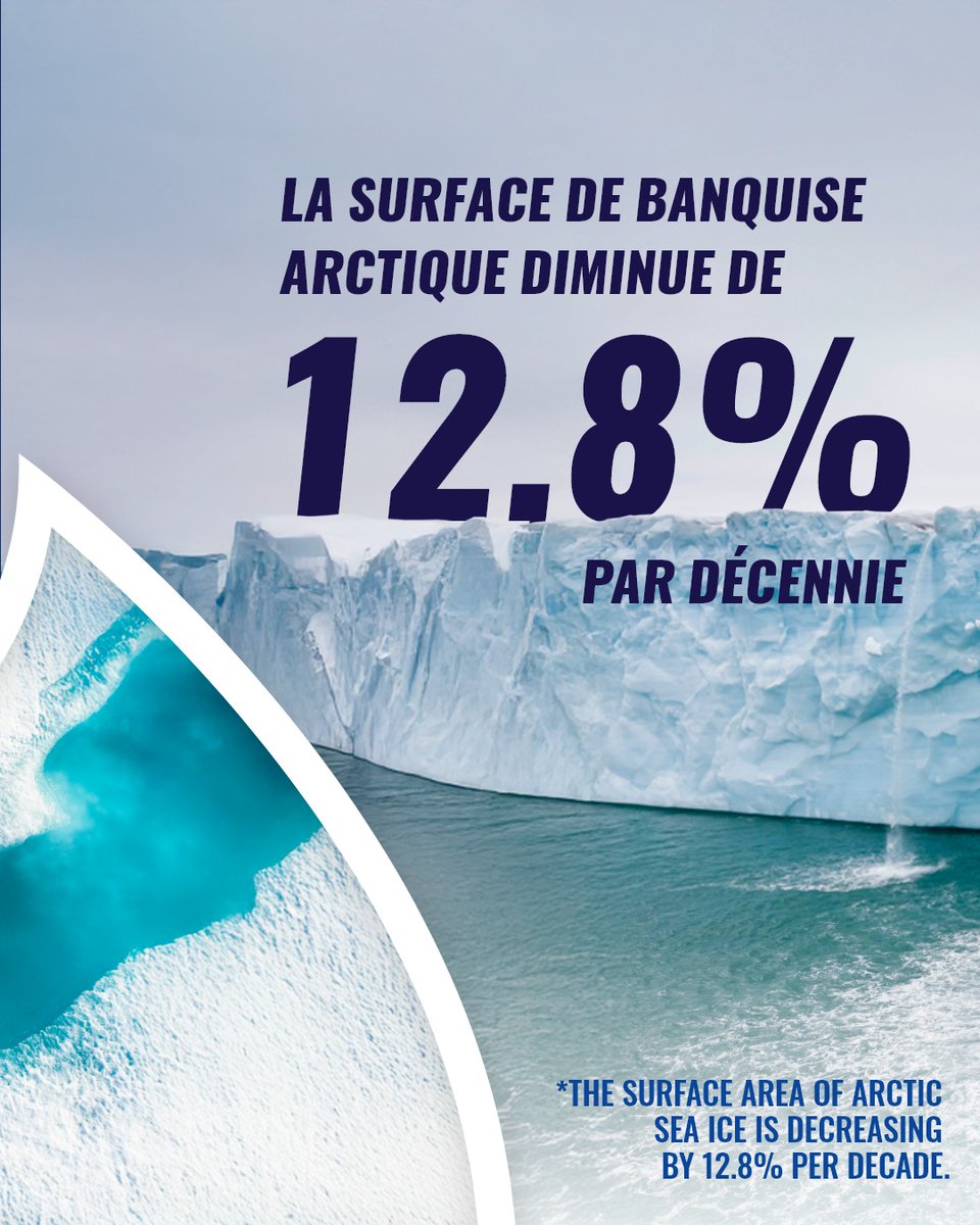 Vendée Globe tweet media