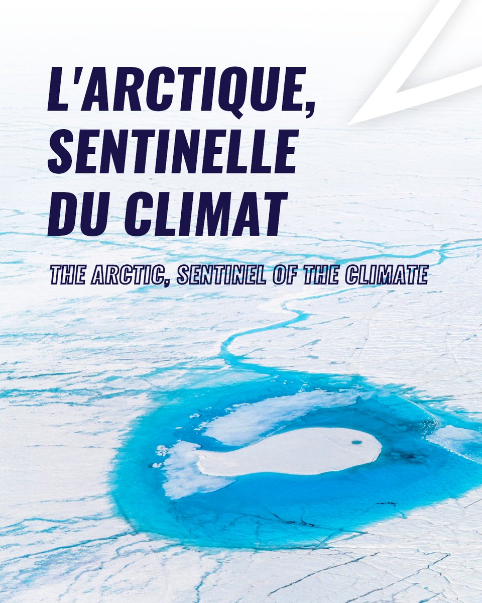 Vendée Globe tweet media