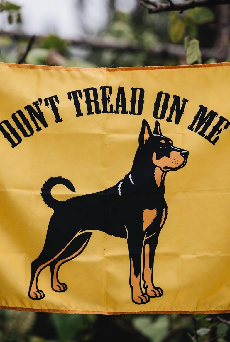 Professor Suggon Deeznutz (@cthulhuapproves) on Twitter photo 