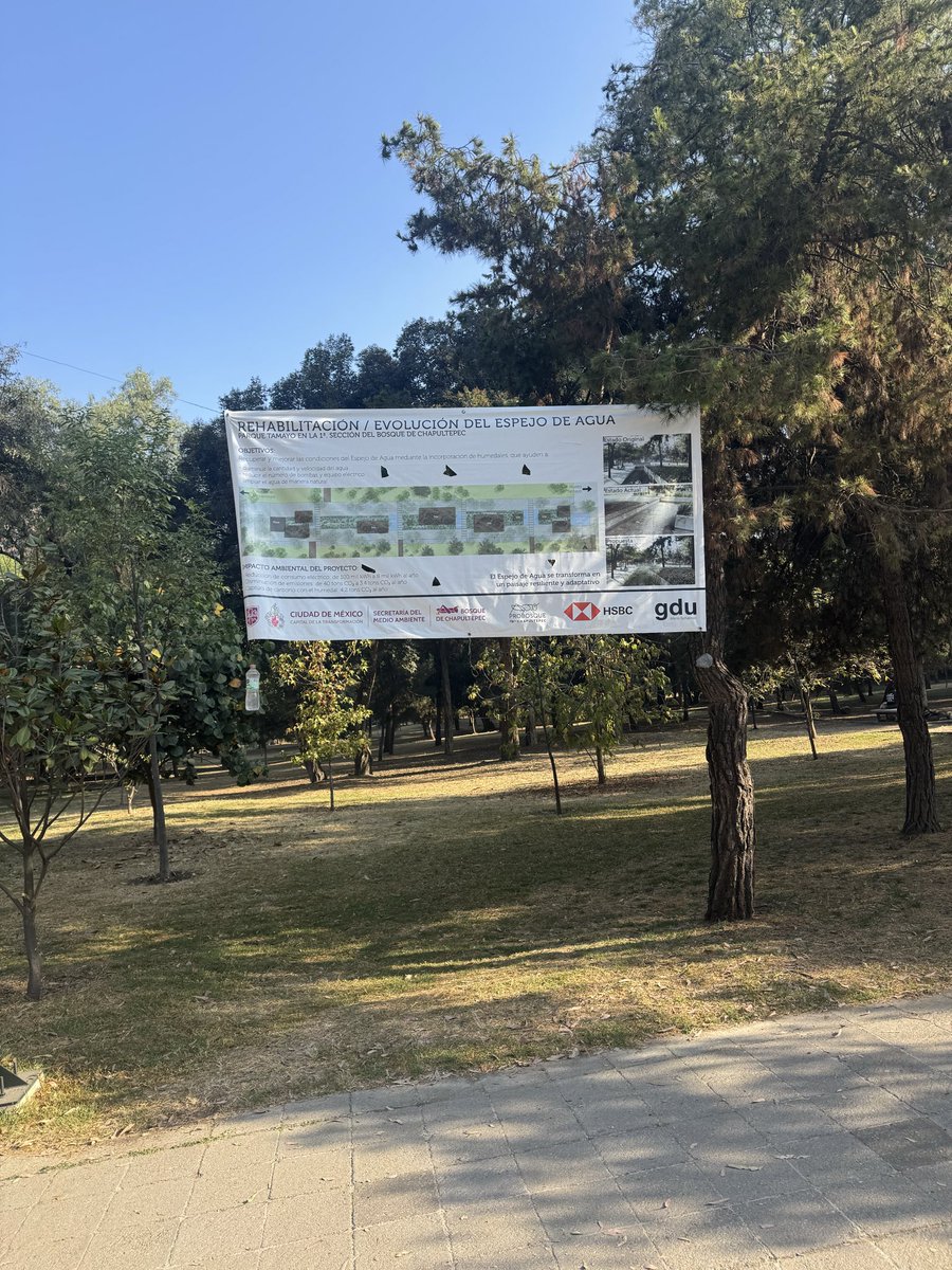 Andrea Riera tweet media