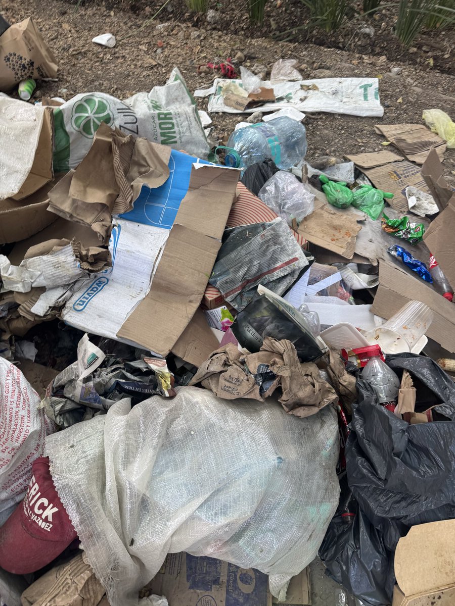 Andrea Riera tweet media