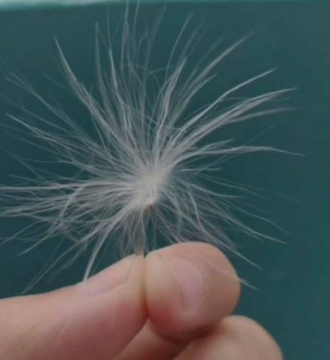 Bro disappeared like never exited