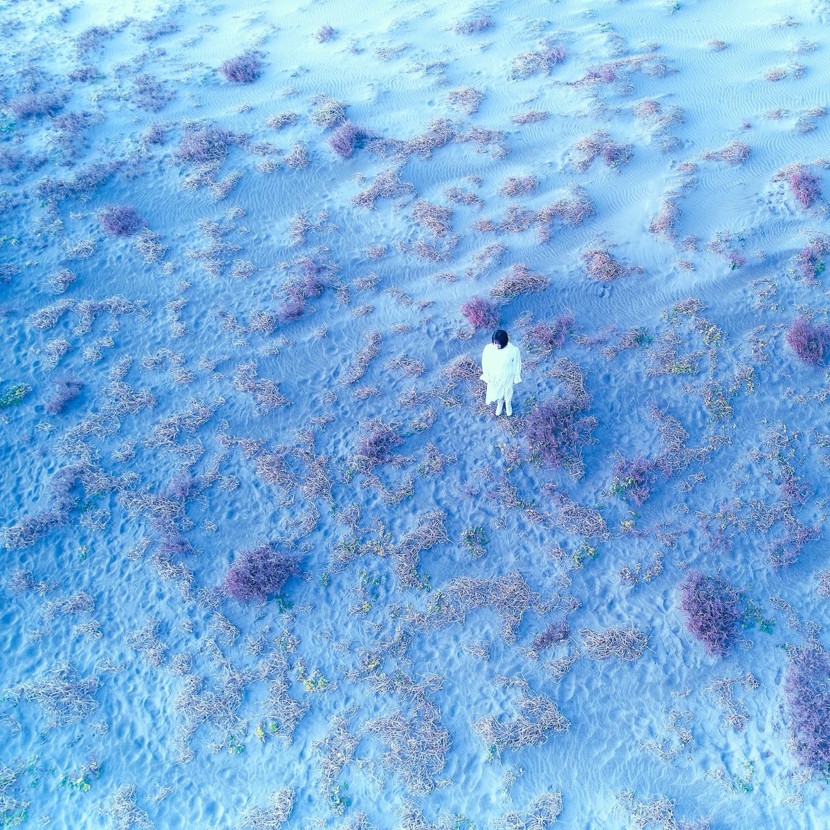 🔵  配信開始 ‼︎  🔵

NHK #みんなのうた に書き下ろした話題の新曲「 こだまでしょうか 」配信開始 ‼︎

「 こだまでしょうか 」配信サイト一覧
lnk.to/LZC-3406