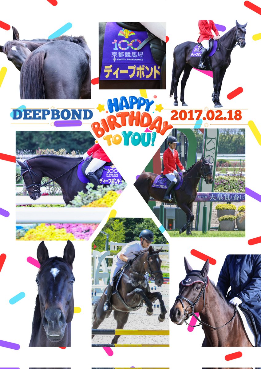 0218deepbond's tweet photo. 【HappyBirthday🎂】
本日2026/02/18(水)はディープボンドの誕生日です🎉
9歳のお誕生日おめでとうディープボンド！ https://t.co/5TdS5JDRYh