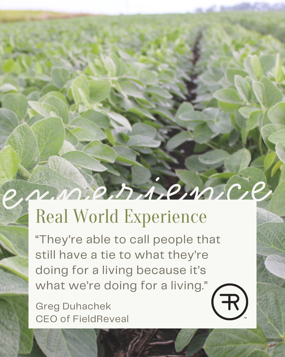 FieldReveal tweet media