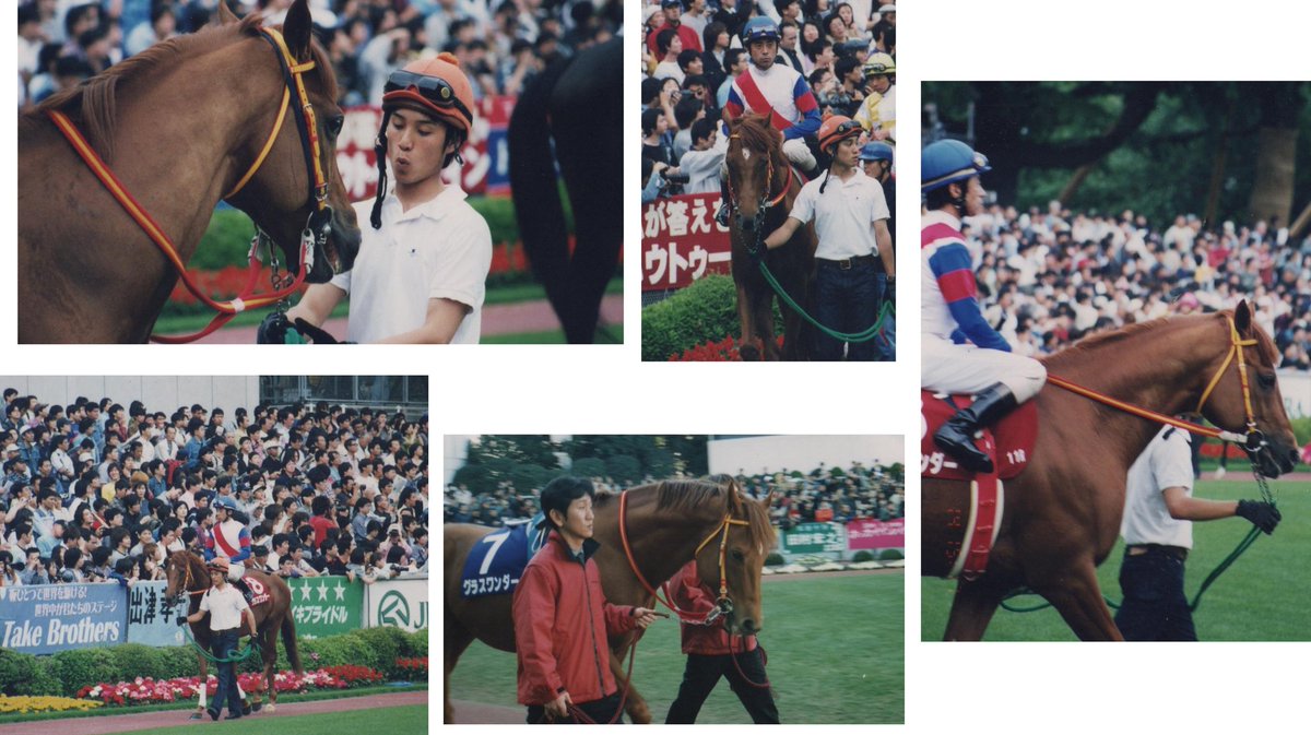 Hello to everyone across the universe who became interested in Grass Wonder through Uma Musume! ✨

Today, February 18th, is Grass Wonder's birthday! 🎁🎂🎉
In Japan, the date has just changed to February 18th✨

Grass Wonder was born in Kentucky, USA, on February 18th, 1995.