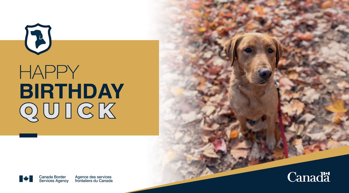 Border Services GTA tweet media