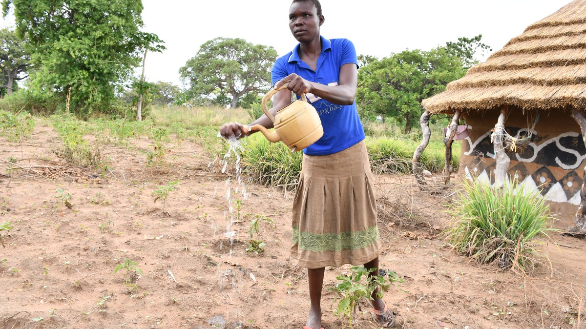 SOCADIDO tweet media