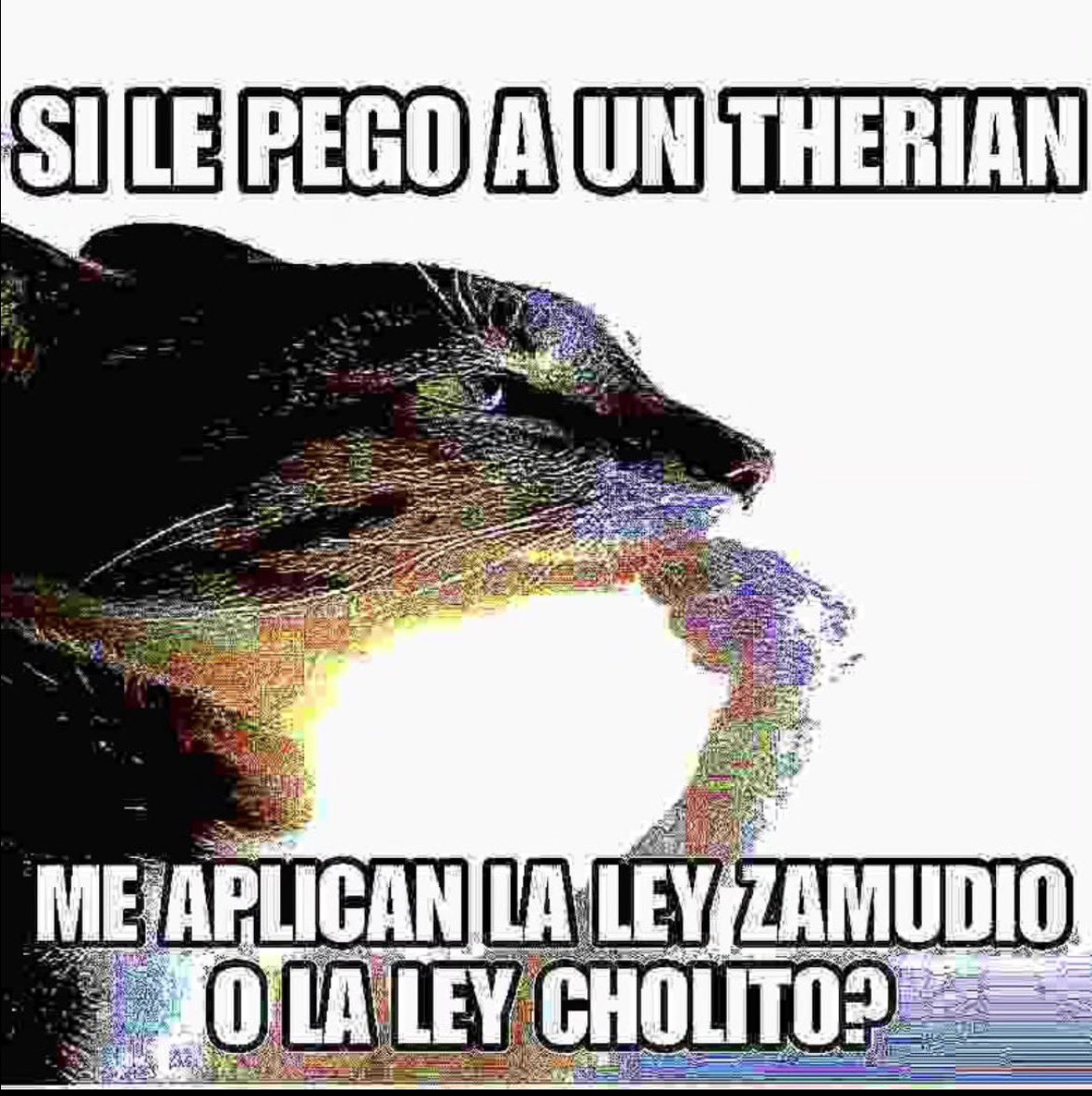 Matías “El Gaucho” S. (@matibici) on Twitter photo 