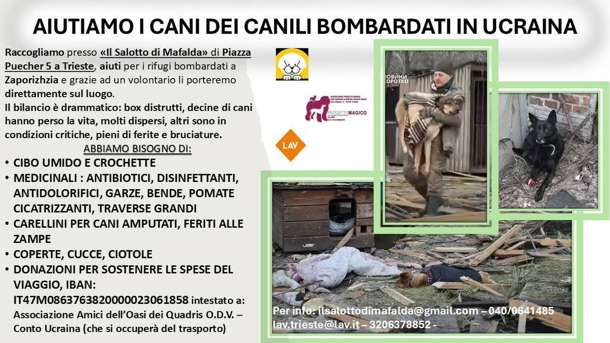 Stiamo raccogliendo, presso Il salotto di Mafalda in piazza Puecher 5 a Trieste, aiuti per il Rifugio bombardato a Zaporižžja (Ucraina): cibo, medicinali, ￼carrellini, coperte, cucce, ciotole e donazioni.

Aiutateci ad aiutarli!!!

#trieste #LAVtrieste