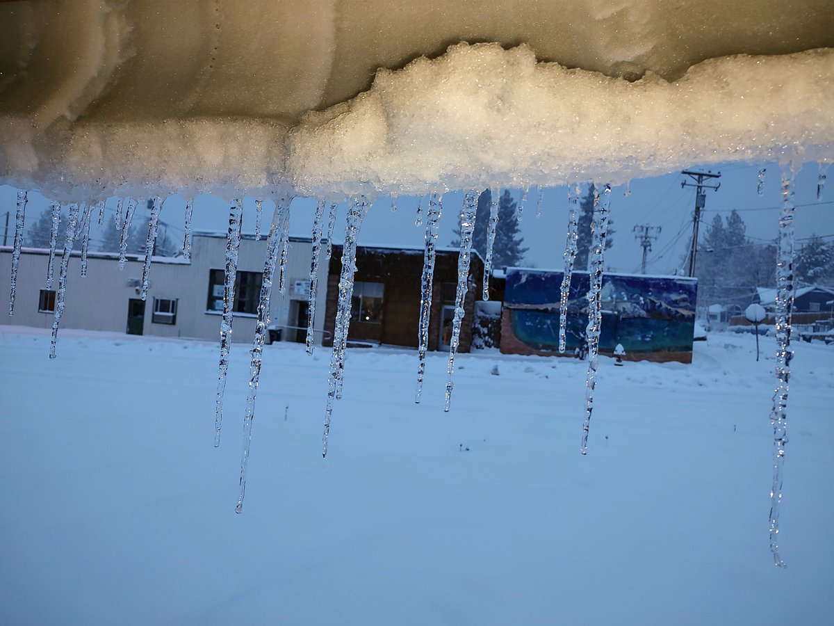 Destiny22Ginger's tweet photo. #ItsSnowing
#SierraSnow piling up out there.
Stuck my head out the mudroom window. That brown snow is dirty from sliding off the roof where this old house turns into an igloo.
Definitely gotta shovel today.
Plumas Co. #SierraNevada north of Tahoe Reno Truckee
Elevation 4860' https://t.co/kEMp3ihimD