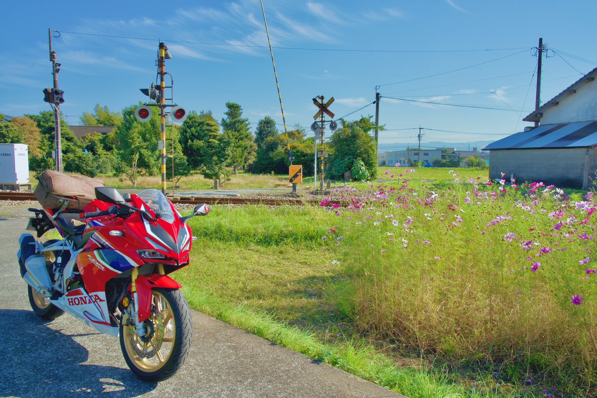 SvMouse's tweet image. #みんなのHONDA見せて
#CBR250RR #MC51