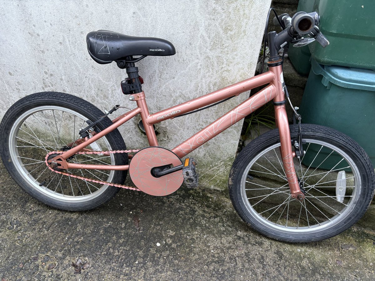 Sonya Palmer tweet media