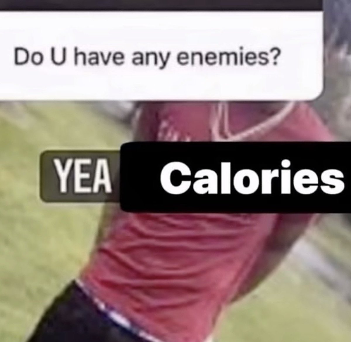 dollewings's tweet image. 