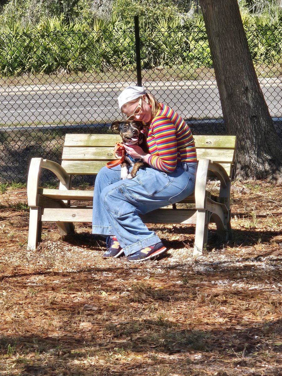 ForwardPinellas tweet media