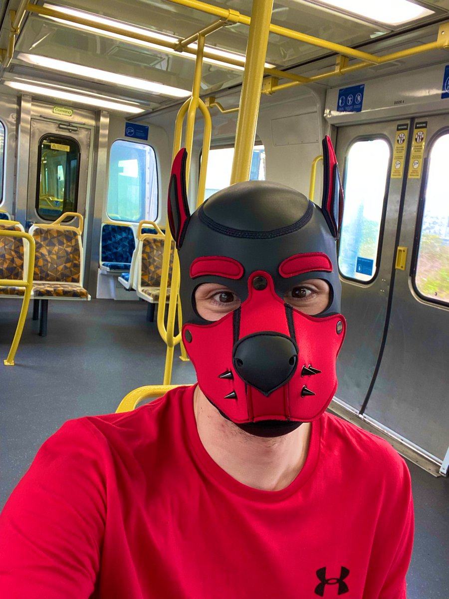 Pup Victus tweet media