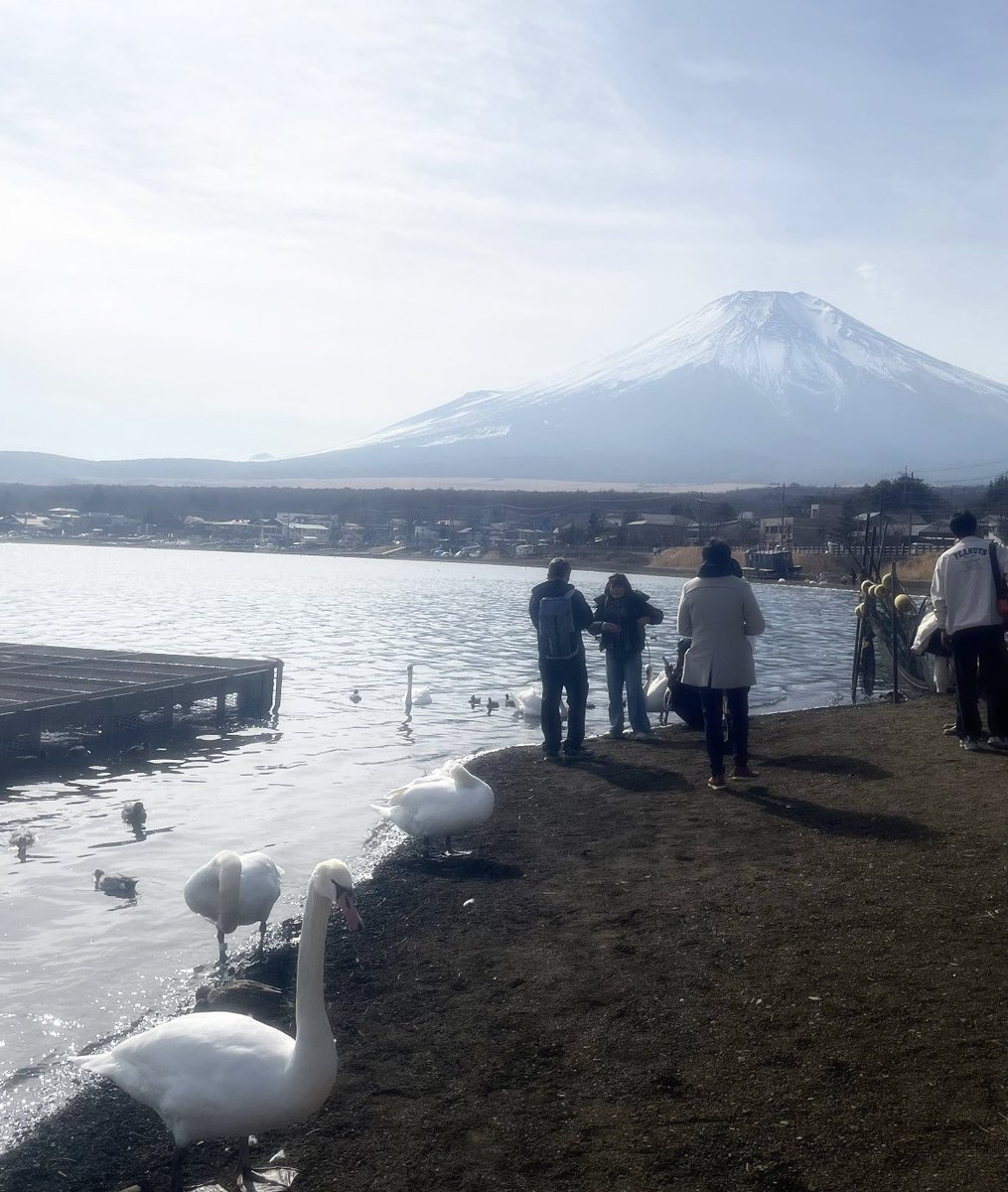 404bni's tweet photo. こんにちは ! https://t.co/m5tu7qxV1v