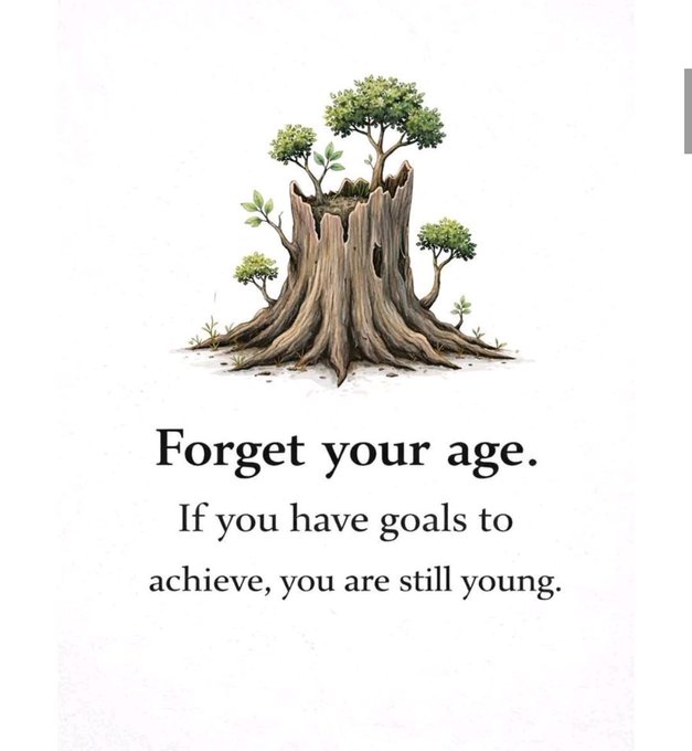 Inspiration & More tweet media