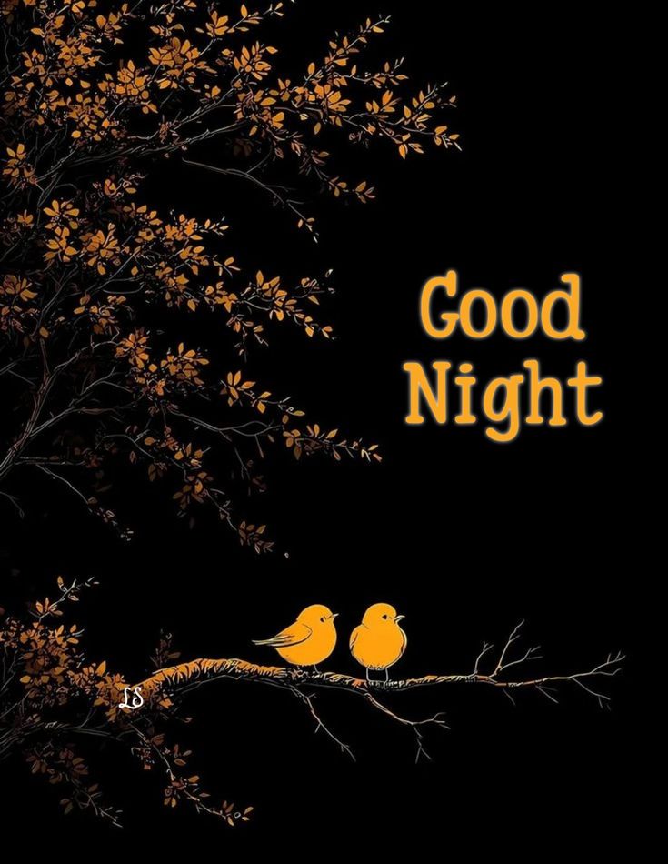 Good night sleep well 

See you tomorrow ☺️