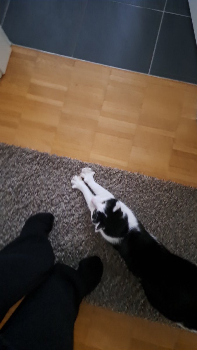 glazedwizard's tweet image. Everyone say big stretch