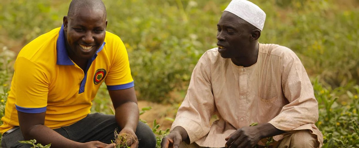 AfDB NIGERIA (RDNG) tweet media