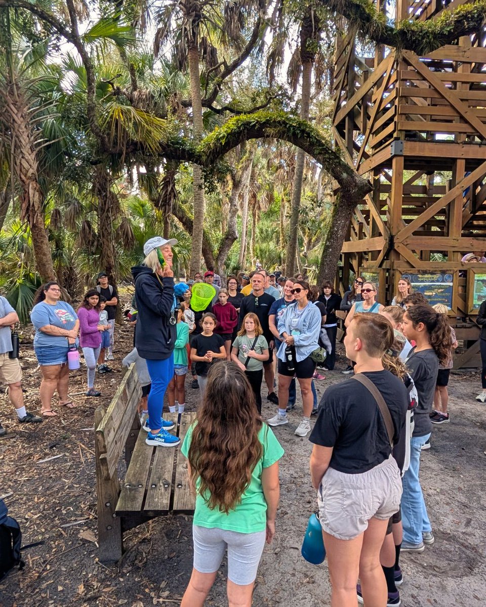 TREE Foundation tweet media