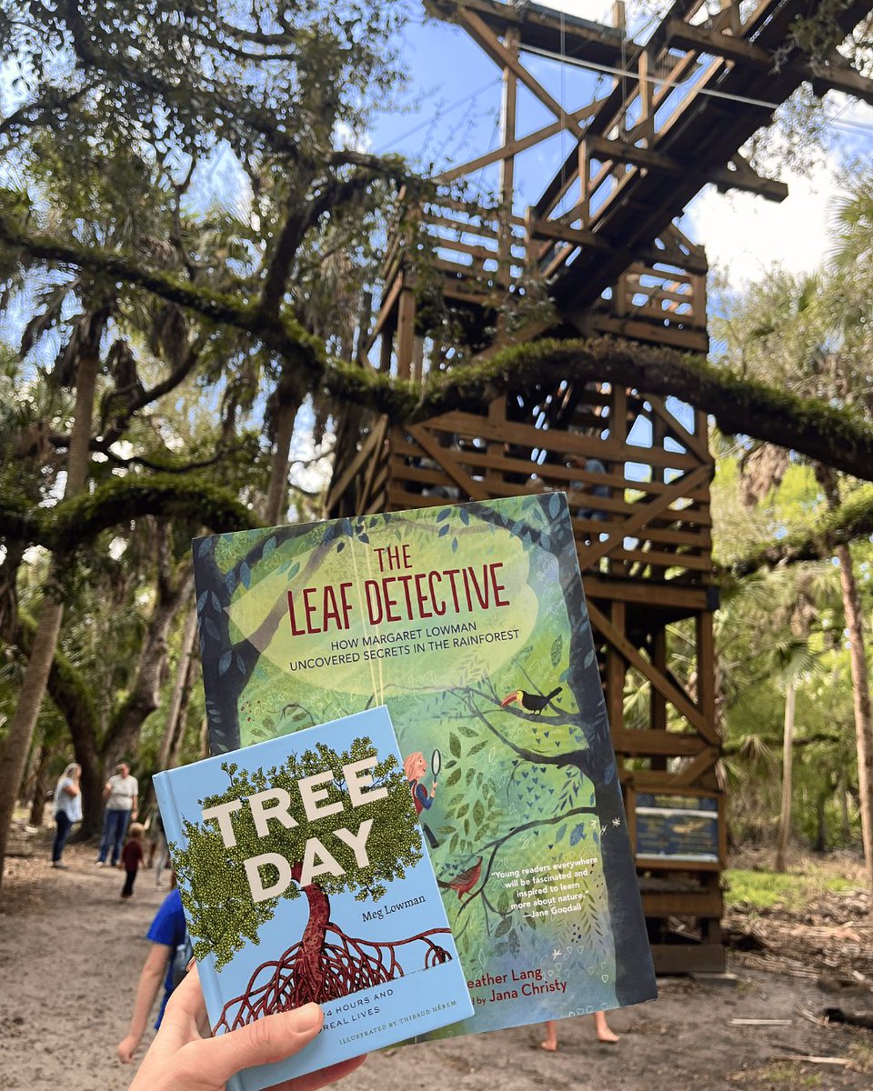 TREE Foundation tweet media