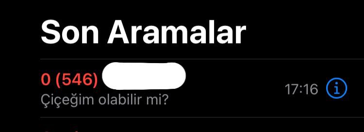 Hayır Siri, bu saatten sonra hiçbir sikimim olamaz