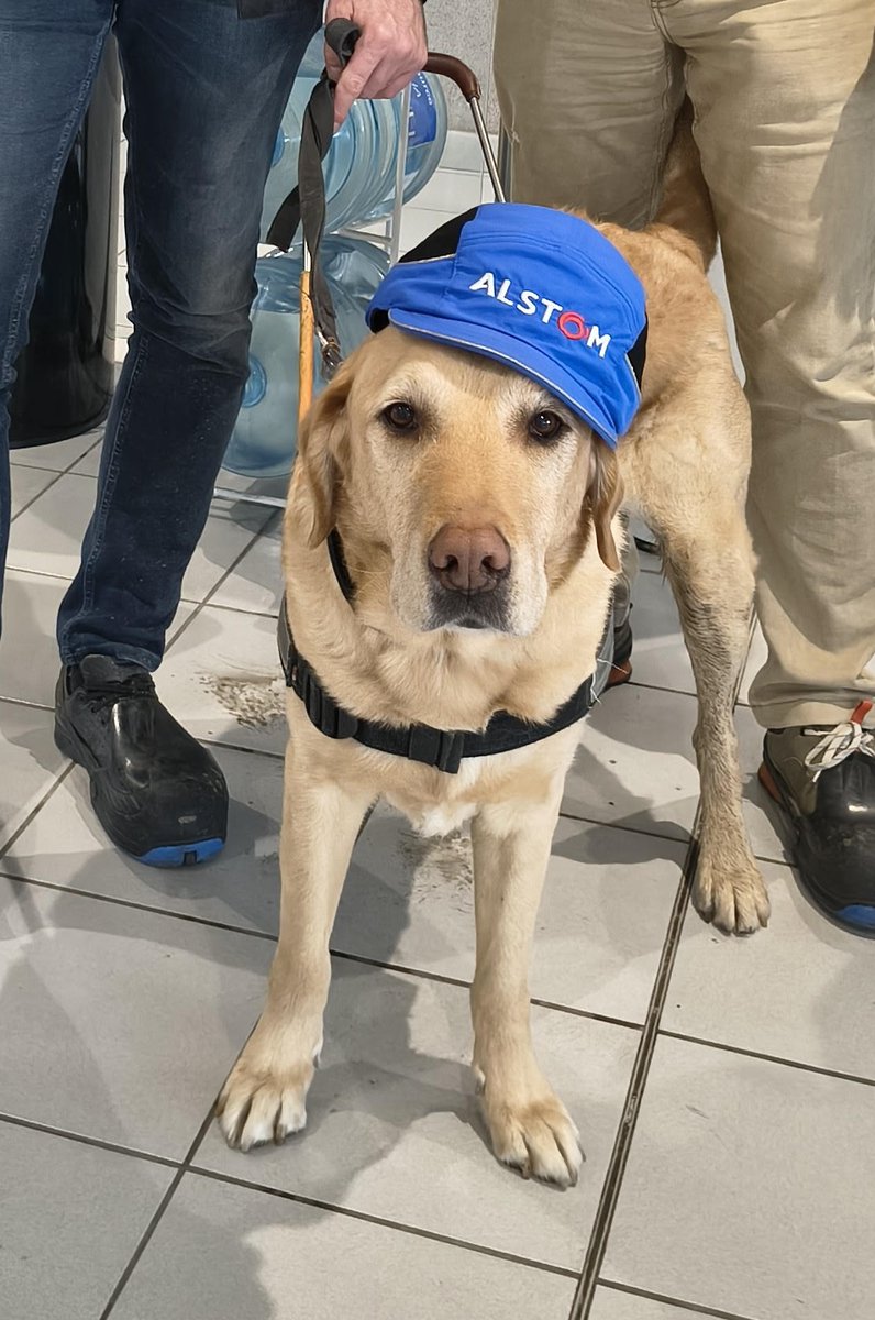 Collectif Handicap Visuel (ex CFPSAA) tweet media