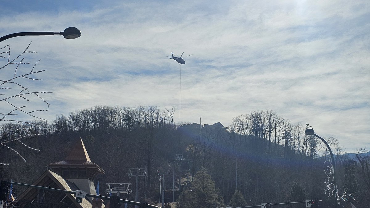 Pleas Proffitt tweet media